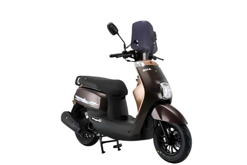 bma s5 bronze img 1