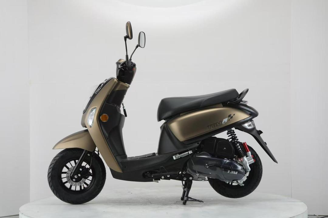 Moto BMA TDM – Image 3